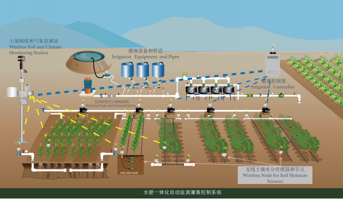 无线自动灌溉系统 照片